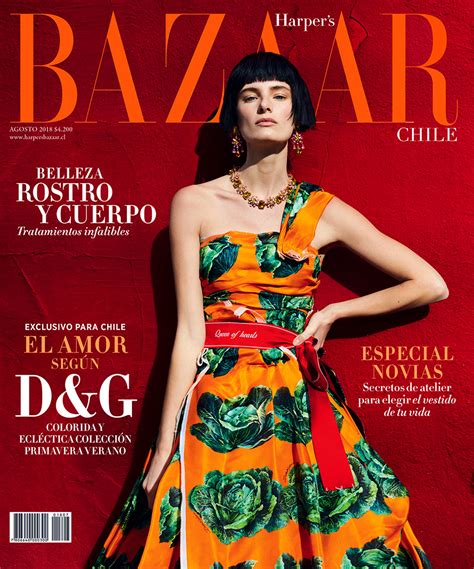 harper's bazaar dolce gabbana.